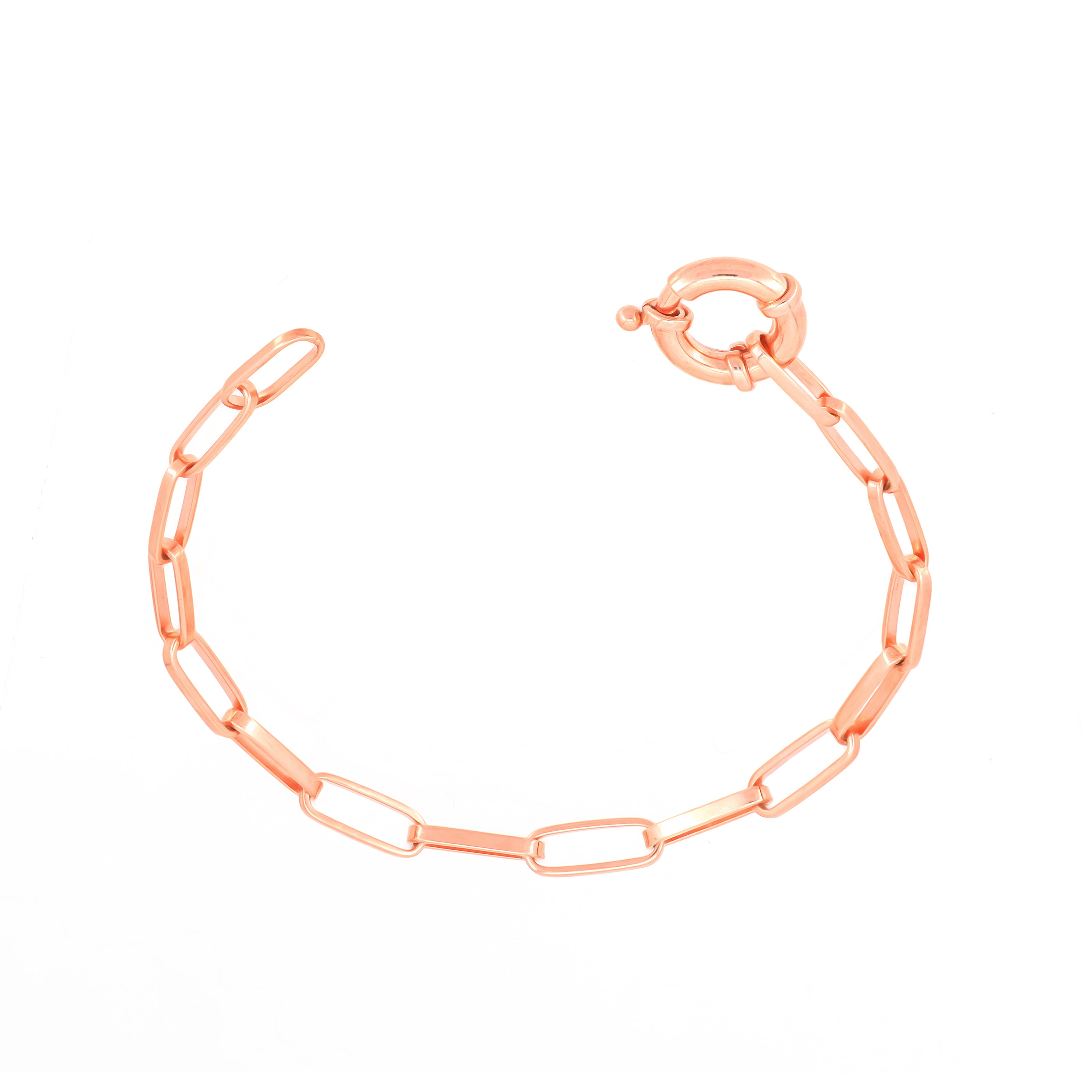 Paperclip Bracelet With Big Spring Clasp